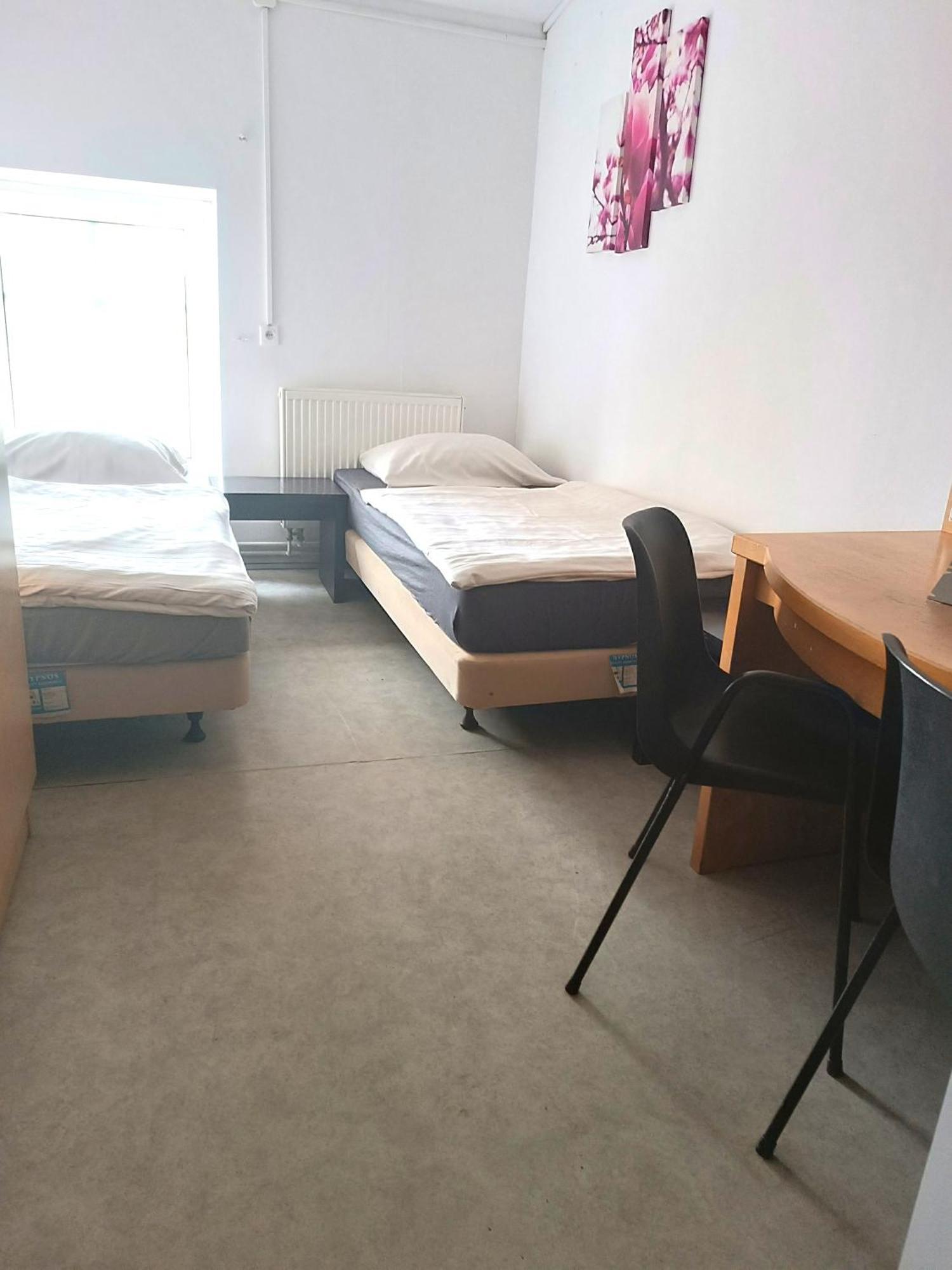 Hostel Krosnienska 12 زيلونا غورا المظهر الخارجي الصورة